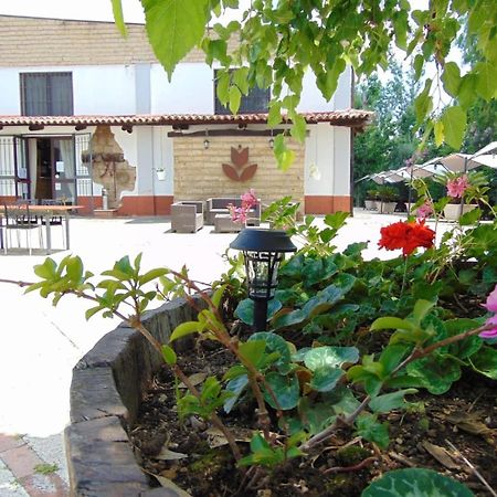 Bed and Breakfast Casale Rurale San Marco Evangelista Esterno foto