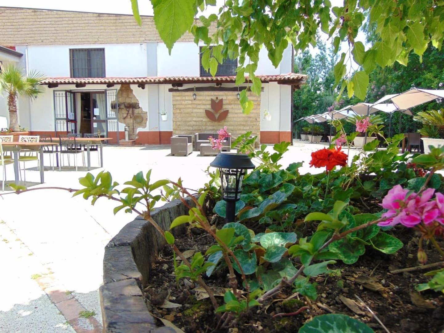Bed and Breakfast Casale Rurale San Marco Evangelista Esterno foto