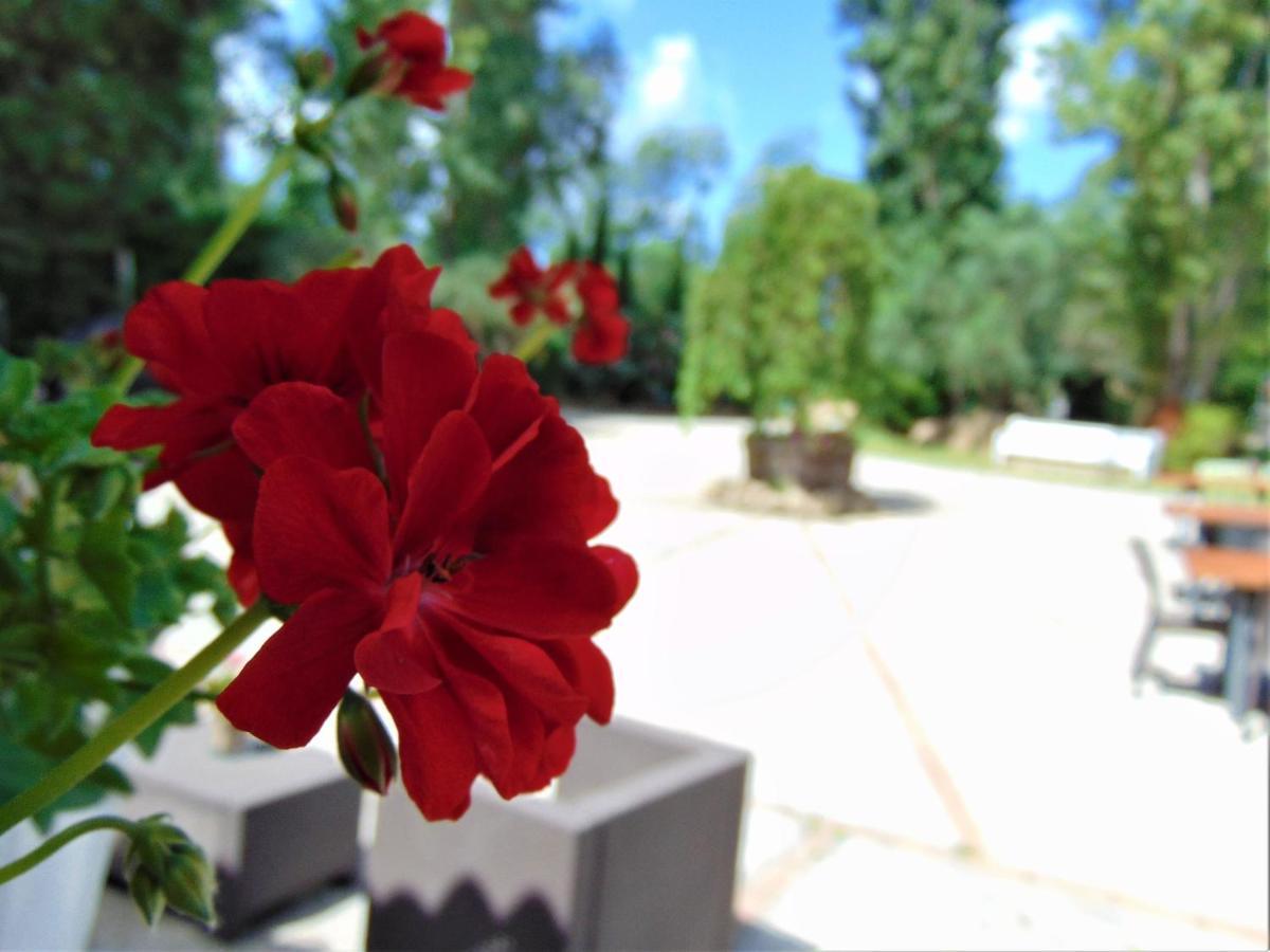 Bed and Breakfast Casale Rurale San Marco Evangelista Esterno foto