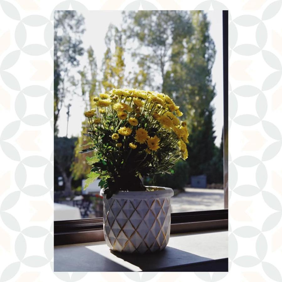 Bed and Breakfast Casale Rurale San Marco Evangelista Esterno foto