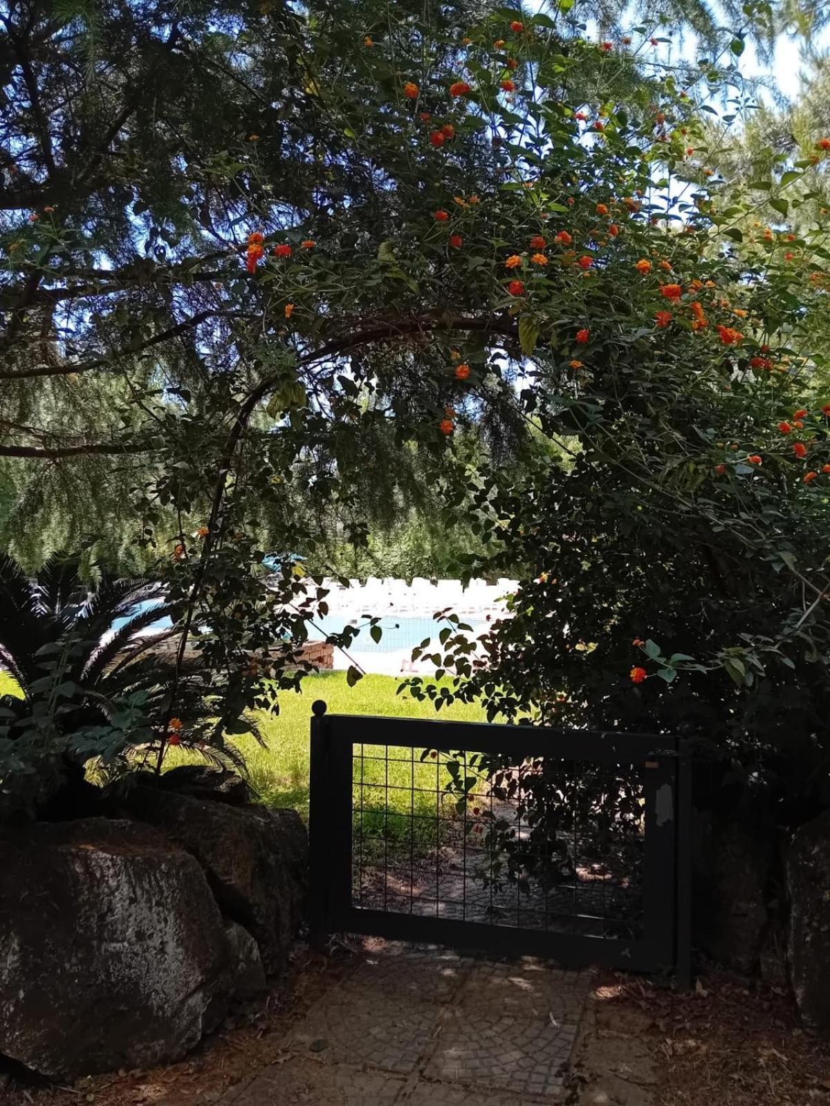 Bed and Breakfast Casale Rurale San Marco Evangelista Esterno foto