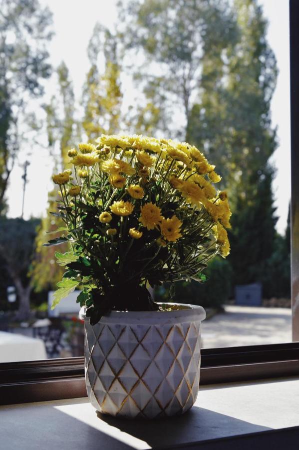 Bed and Breakfast Casale Rurale San Marco Evangelista Esterno foto